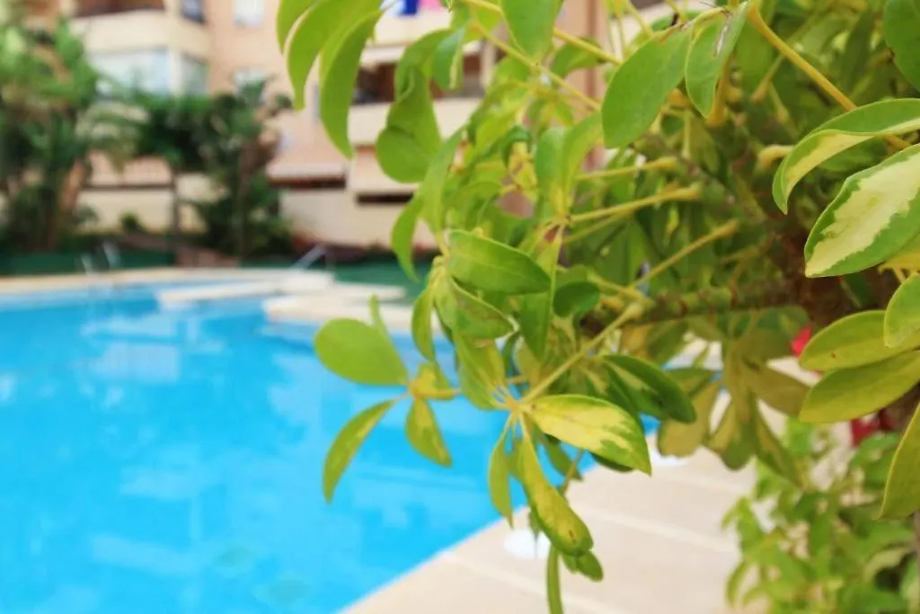 Expoholidays- Villa Africa Roquetas de Mar